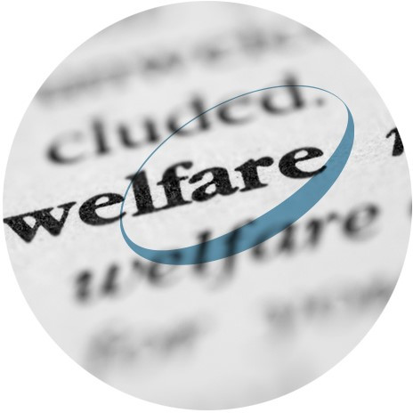 welfare circle